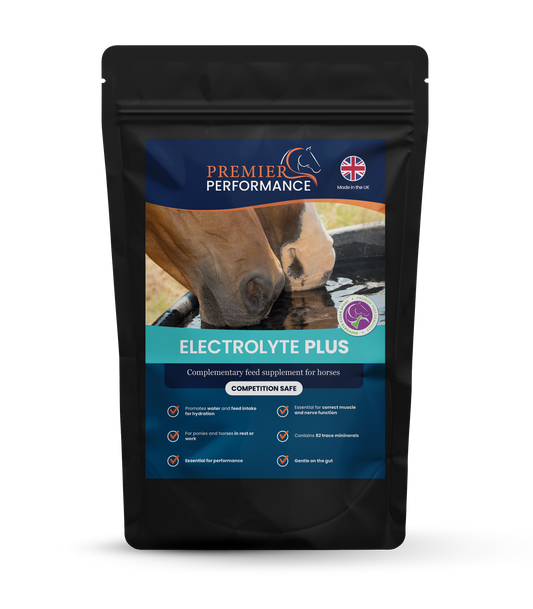 Electrolyte Plus