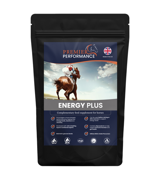 Energy Plus Powder
